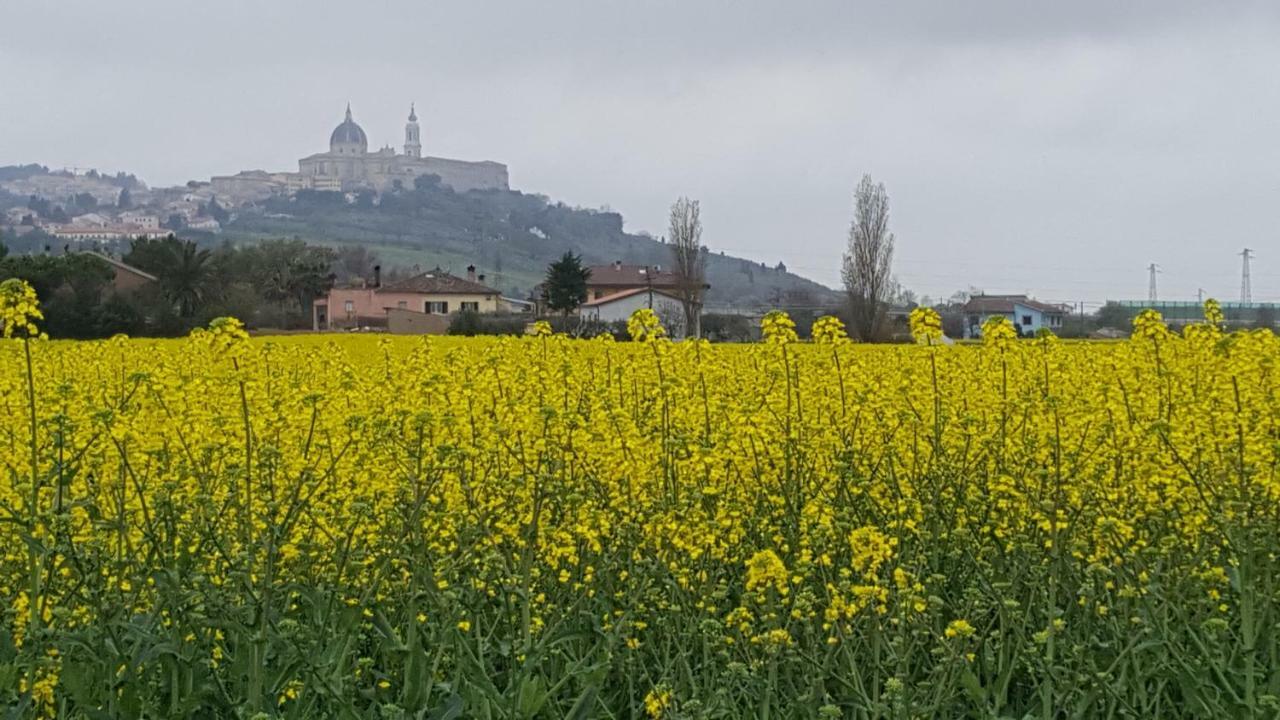 Villetta Del Conero Порто Реканати Екстериор снимка